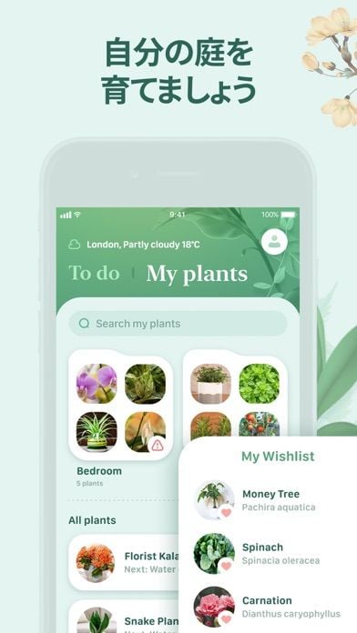 Blossom - 植物や花の名前を認識しましょう screenshot