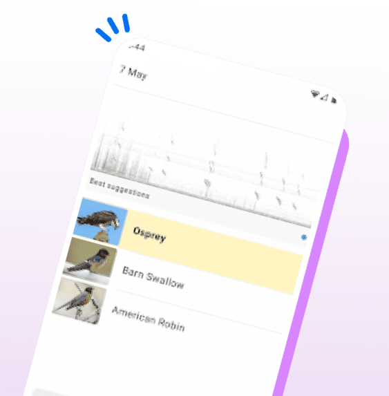 Real-Time Sound Identification
