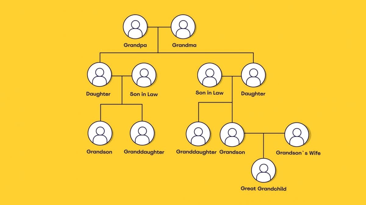 Building Your Family Tree: A Step-by-Step Guide