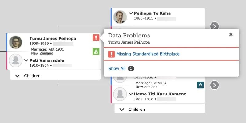 Can I Correct Errors in the FamilySearch Tree?